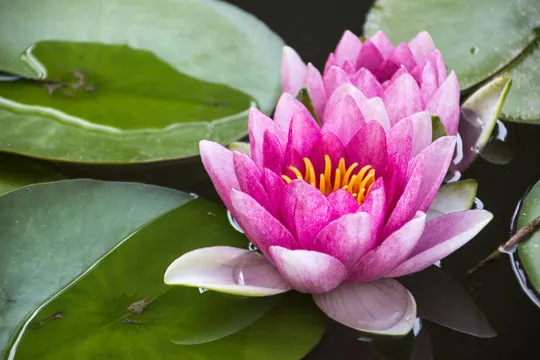 公司位置示意图